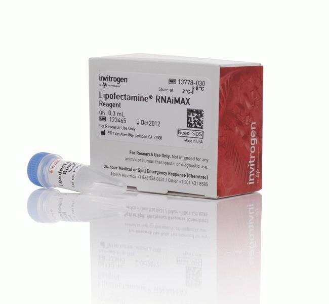 Invitrogen™ Lipofectamine™ RNAiMAX Transfection Reagent, 0.3 mL